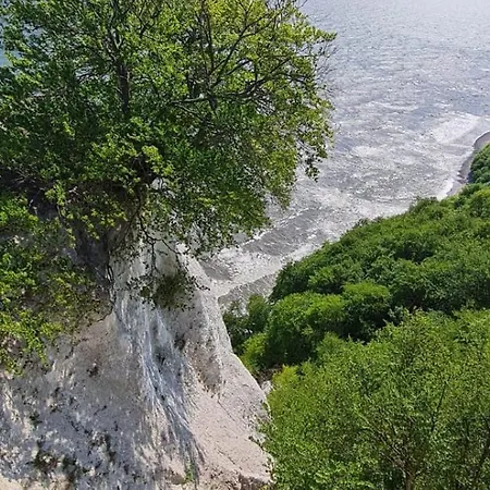 1 Im Lohme -hagen Im Nationalpark * Nipmerow
