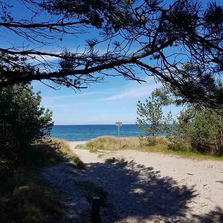 公寓 1 Im Lohme -hagen Im Nationalpark Nipmerow