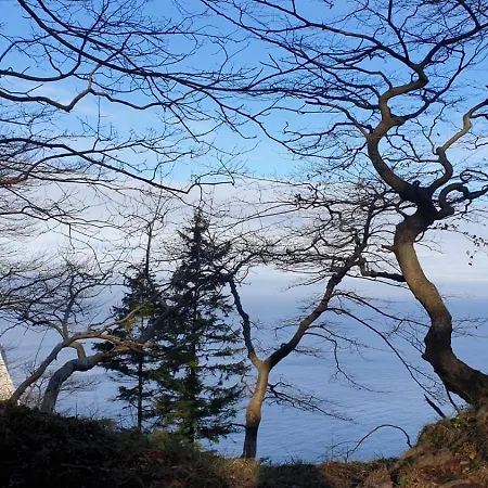 1 Im Lohme -hagen Im Nationalpark 公寓 Nipmerow